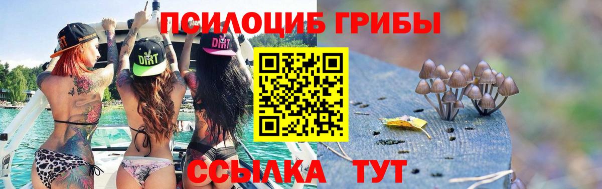 Галлюциногенные грибы мицелий  где купить наркоту  Пятигорск  Вход с VPN 