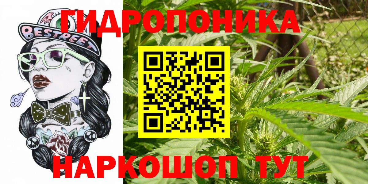 Конопля White Widow Пятигорск